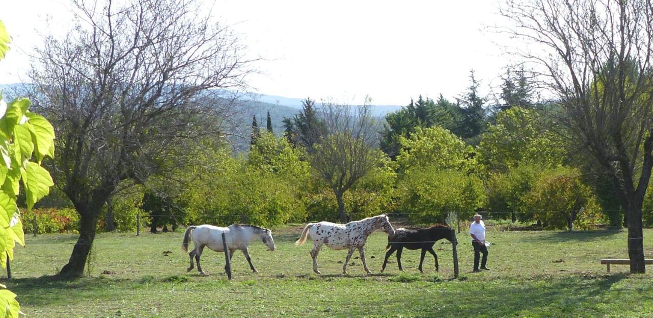 La Petite Galejade Gordes Exterior foto