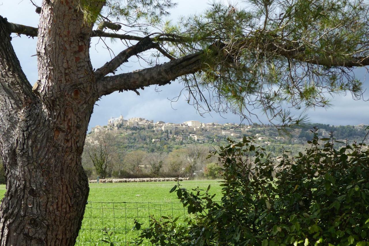 La Petite Galejade Gordes Exterior foto